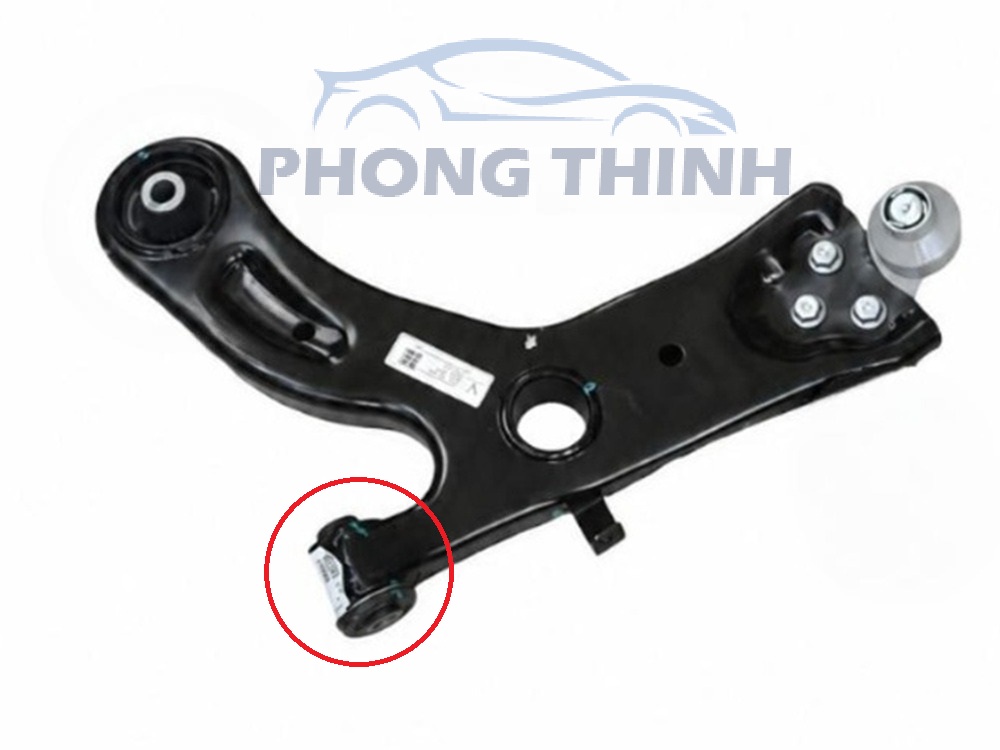 product_images/Càng_A_VF6_1.jpeg
