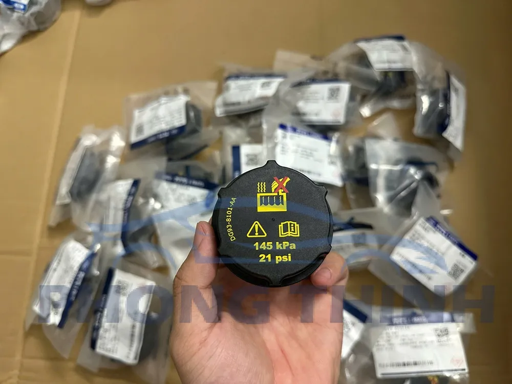 Nắp bình nước phụ Ford Ranger Everest Mazda BT50 2013-2024 chính hãng DG9Z8100A