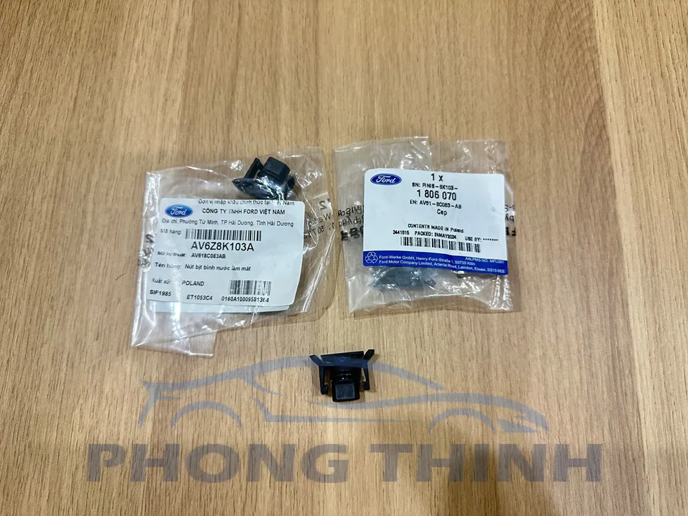 Hình ảnh sản phẩm Nút bịt bình nước phụ Ford Ecosport Focus Fiesta 2011-2018 chính hãng AV618C083AB